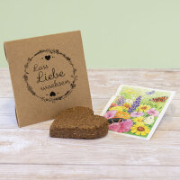 Anzuchtset Herz "Vintage Natural" Blumenwiese - Schön, dass Du da bist!