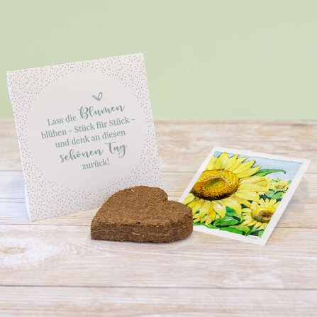Gastgeschenk Anzuchtset Herz "Pure Freude" mint...