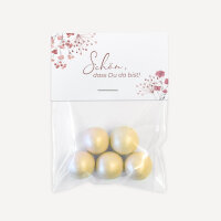 Gastgeschenk Tüte transparent mit Etikett "Trockenblumen Blush" Schön, dass Du da bist!