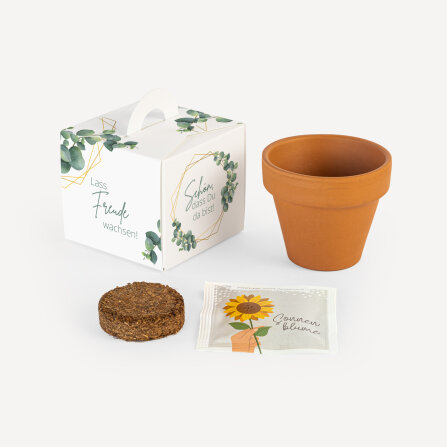 Gastgeschenk Anzuchtset Box "Eukalyptus Geometrie"