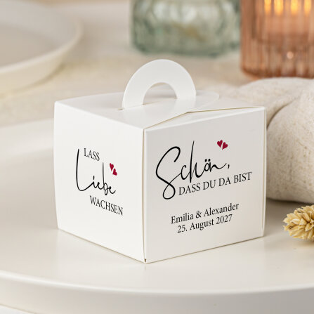 Gastgeschenk Anzuchtset Box "Kalligrafie"