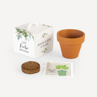 Gastgeschenk Anzuchtset Box "Green Magic"