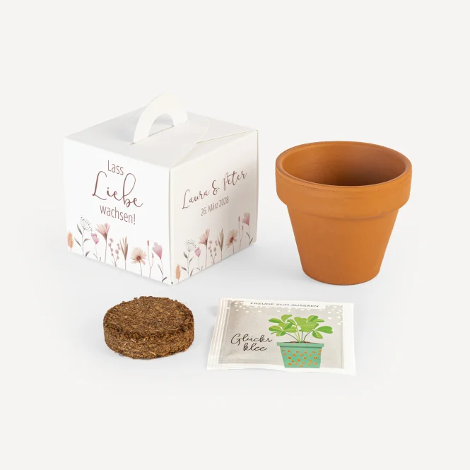 Gastgeschenk Anzuchtset Box "Wild Flowers"
