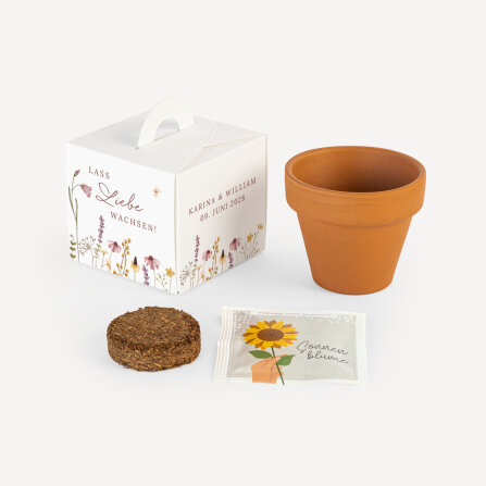 Gastgeschenk Anzuchtset Box "Wildromantische...