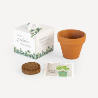 Gastgeschenk Anzuchtset Box "Eukalyptus Ranken"