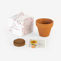 Gastgeschenk Anzuchtset Box "Trockenblumen Blush"