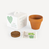 Gastgeschenk Anzuchtset Box "Herz"