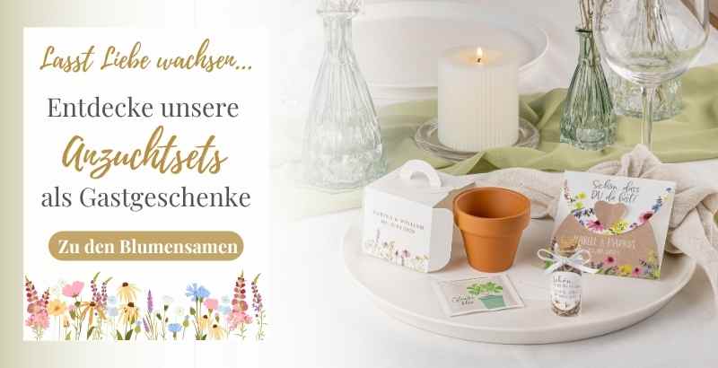Blumensamen als Gastgeschenke