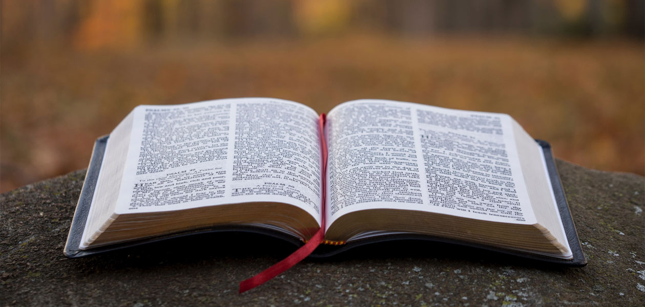 Bibelverse zur Liebe Neues Testament